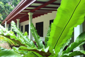 Dream Weaver Eco Homestay